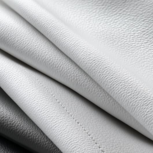 College Babe Membership